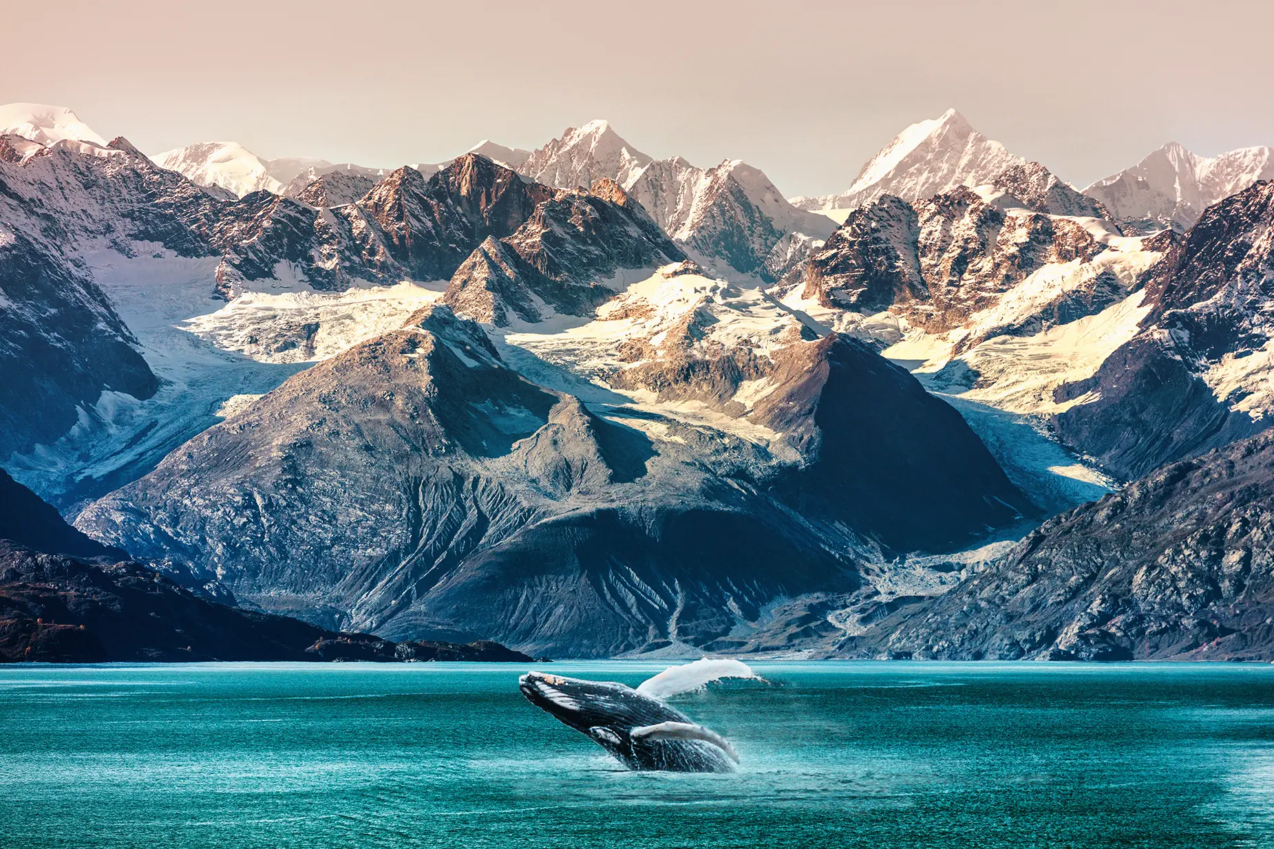 Cruises